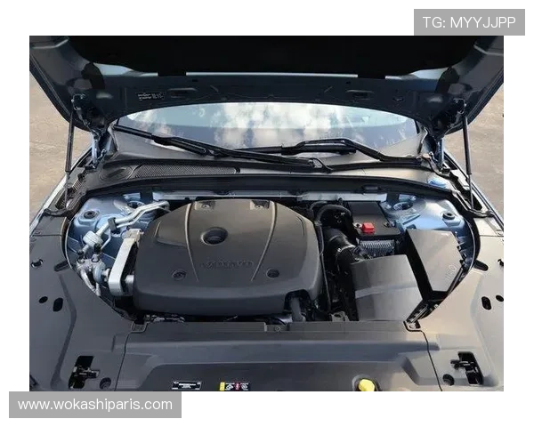 奔驰宝马游戏官网优惠活动及促销方案分析，助力用户享受更多购车实惠